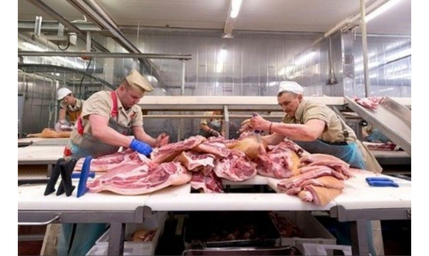Магазин, интернет-магазин по продаже мяса \ Чистая прибыль 170.000