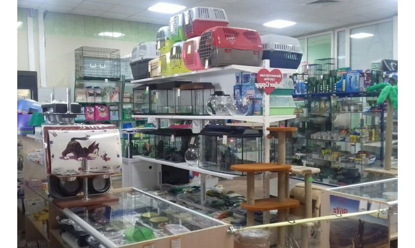 Прибыльный зоомагазин (3 года) / В проходном месте